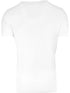 U.S. POLO ASSN classic white t-shirt for men