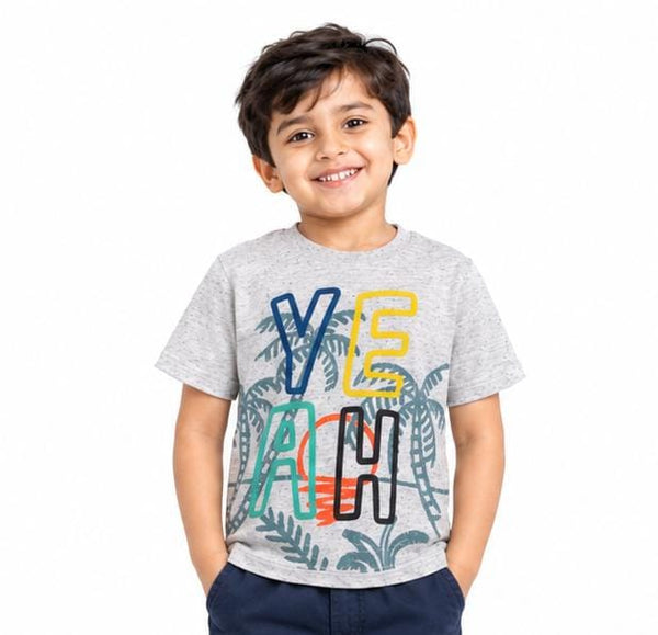 F&F BOYS KIDS GRAPHIC PRINT T-SHIRT | GREY