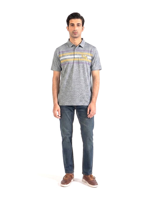 CAPTIVATING STRIPED POLO WITH SNAK LOGO | GREY