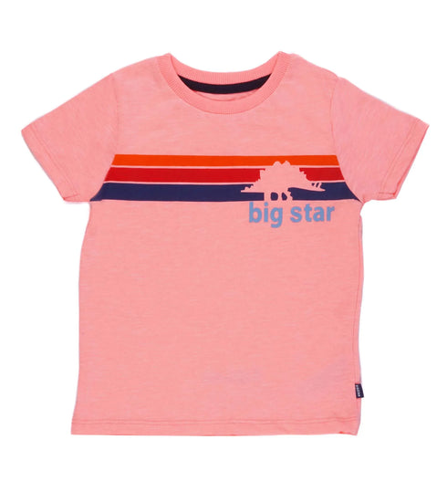 BIG STAR multicolor boys' t shirt in pink with a round neck design.