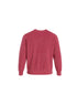 LEAGUE MEN'S CLASSIC CREWNECK SWEAT – VINTAGE RED
