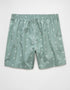 AMERICAN EAGLE MEN'S TINY EAGLES STRETCH BOXER SHORT | LIGHT GREEN