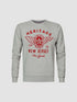 PETROL INDUSTRIES-BOYS-ROUND NECK-SWEATSHIRT | GREY