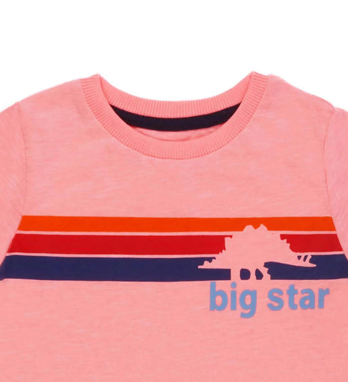 BIG STAR multicolor boys' t shirt in pink with a round neck design.